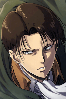 Levi