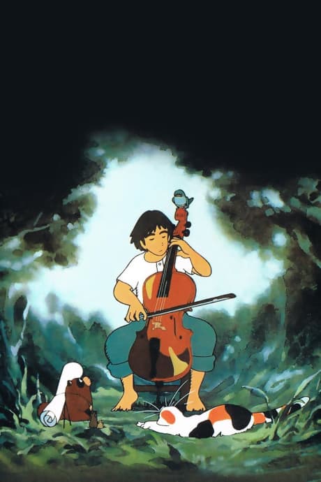 Cello Hiki no Gauche